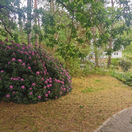 Fahrradpension Am Weg Nach Kopenhagen Fürstenberg-Havel Dış mekan fotoğraf